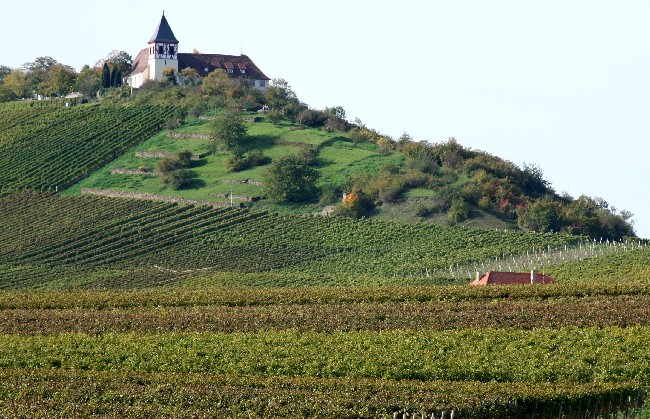 MICHAELSBERG > Naturschutzgebiet