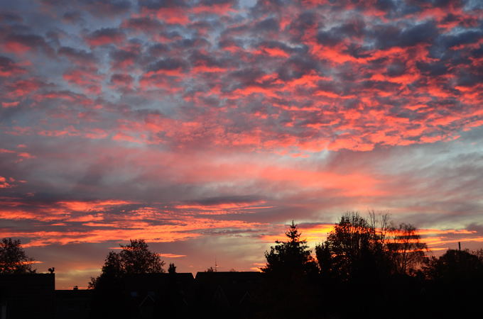 Morgenrot