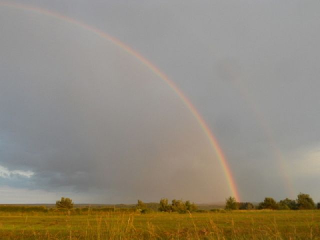 Regenbogen