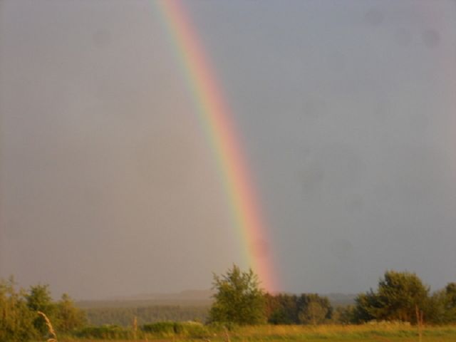 Regenbogen 2
