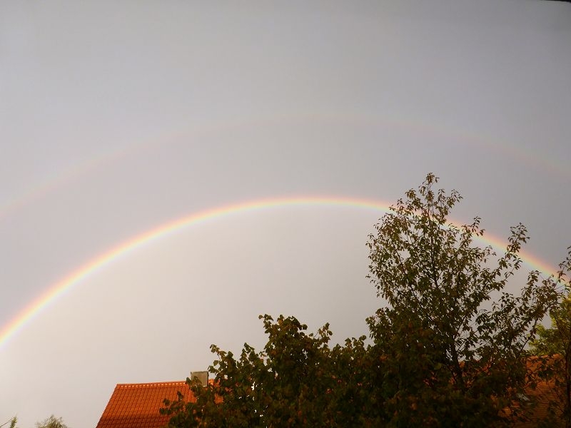 Regenbogen