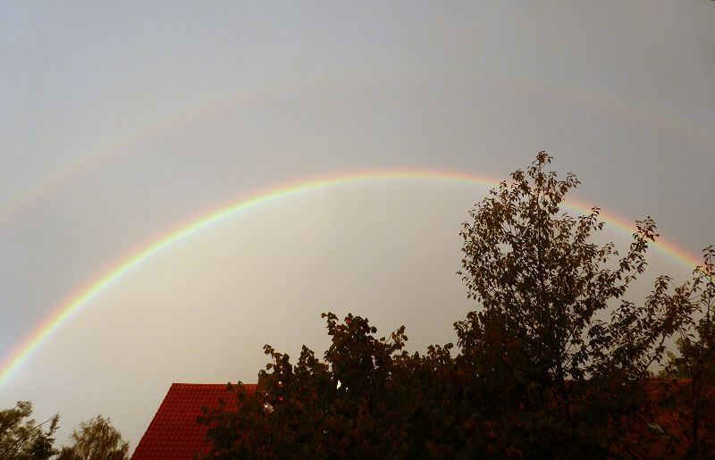 Regenbogen