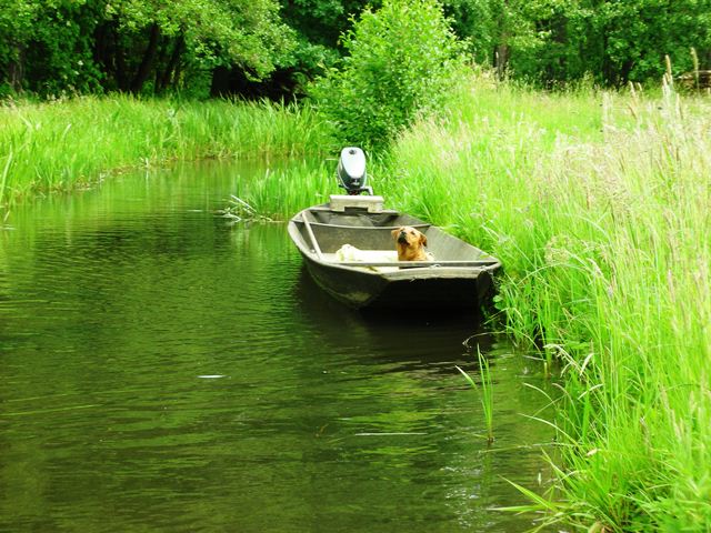 Kahnfahrt im Spreewald 2