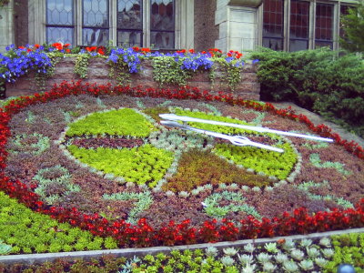 BERNBURG > Sonnenuhr aus Blumen