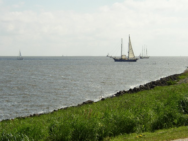 IJsselmeer > Segelschiffe