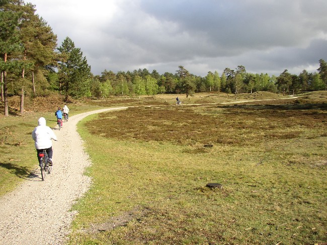 FRIESLAND >  Drachten > Naturschutzgebiet