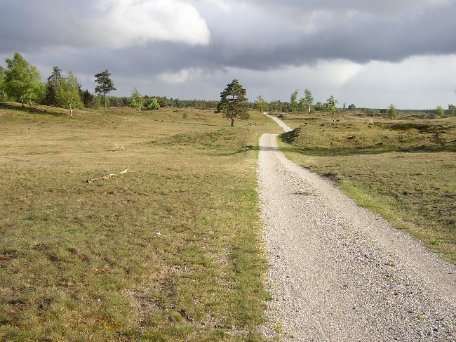 FRIESLAND >  Drachten > Naturschutzgebiet