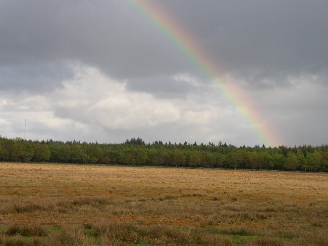 FRIESLAND >  Drachten > Naturschutzgebiet