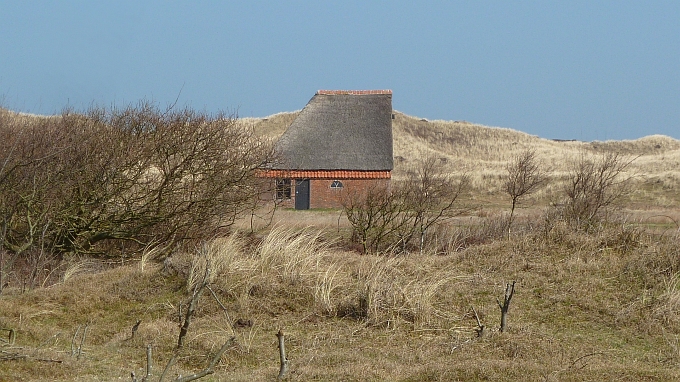 NL_1120 Insel Texel > Schafstall