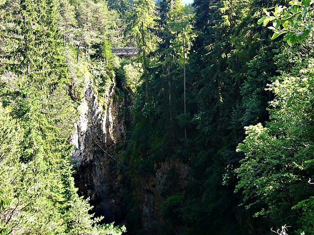 NOVELLA SCHLUCHT