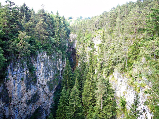 NOVELLA SCHLUCHT