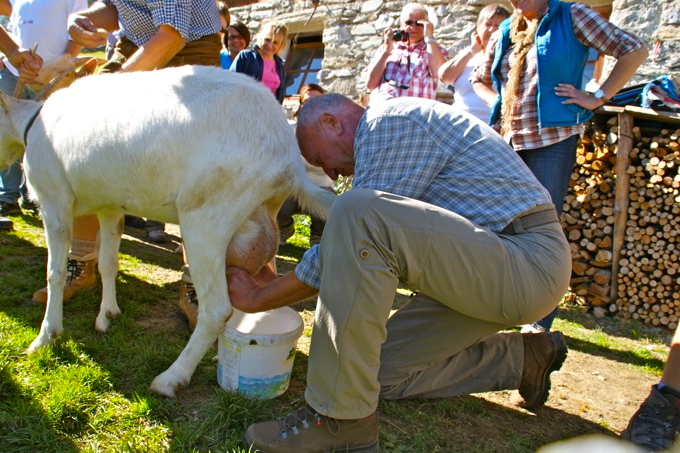 REIN in Taufers 2