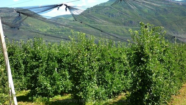 Alto Adige>Bozen-Meran