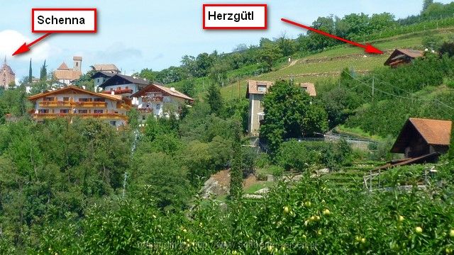 Alto Adige>Bozen-Meran
