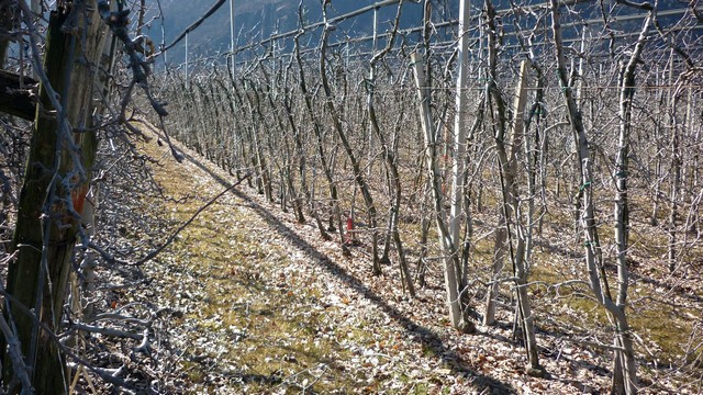 Südtirol  im März 3