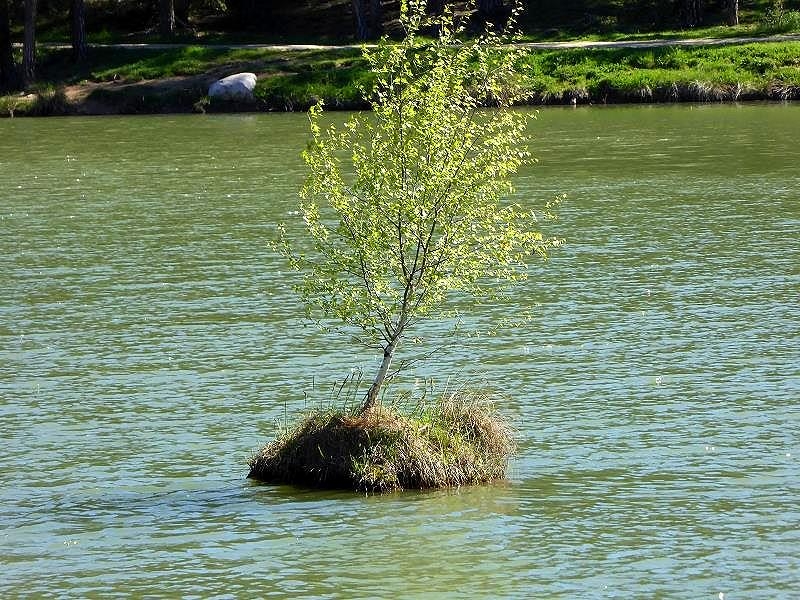 Naturpark Schlern - Rosengarten