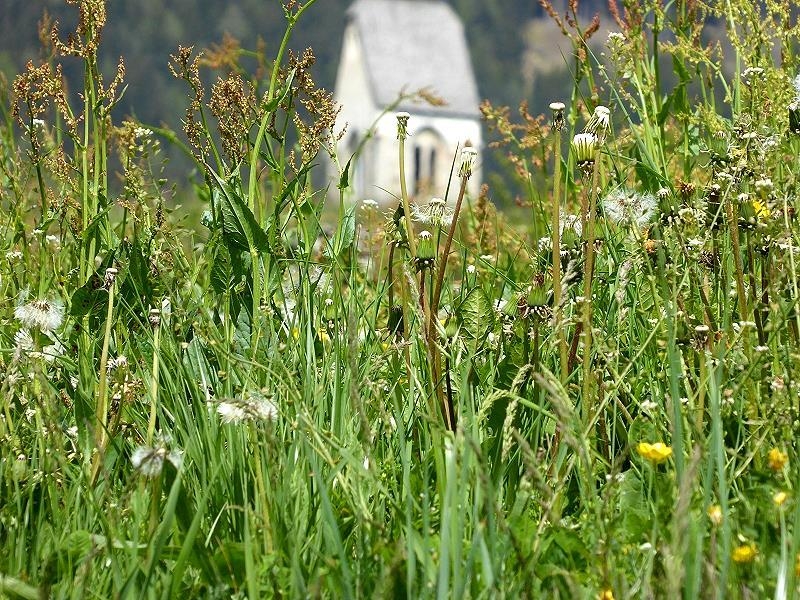 Panoramaweg Feldthurns-Garn-Verdings