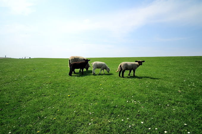 Büsum 01 6