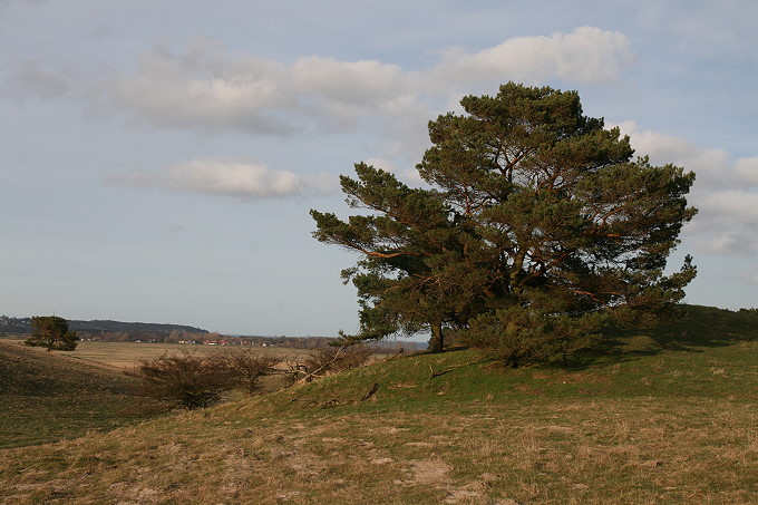 Zickersche Berge 3