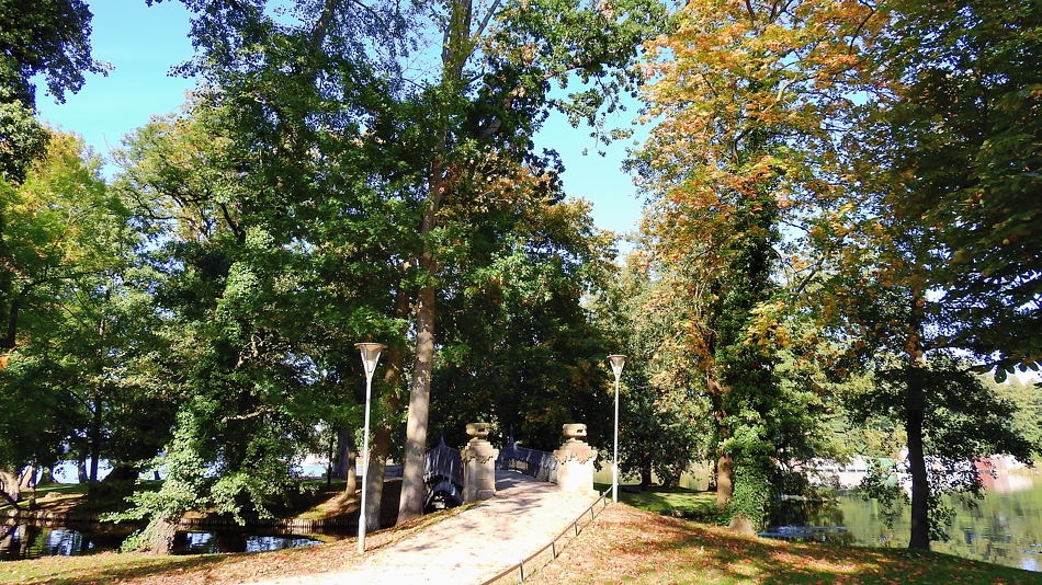 DSCN0525