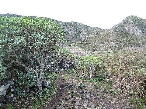 Teneriffa Teno Gebirge 3