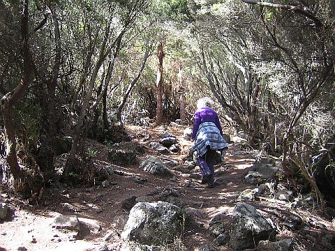 Teneriffa Teno Gebirge 5