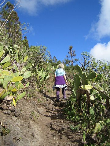 Teneriffa Teno Gebirge 3