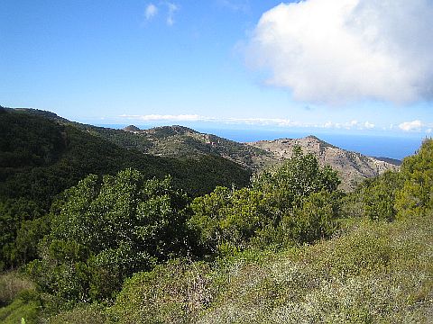 Teneriffa Teno Gebirge 6