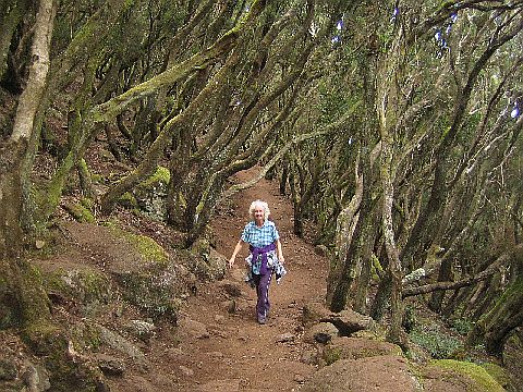 Teneriffa Teno Gebirge