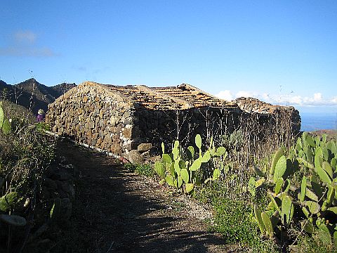 Teneriffa Teno Gebirge 7