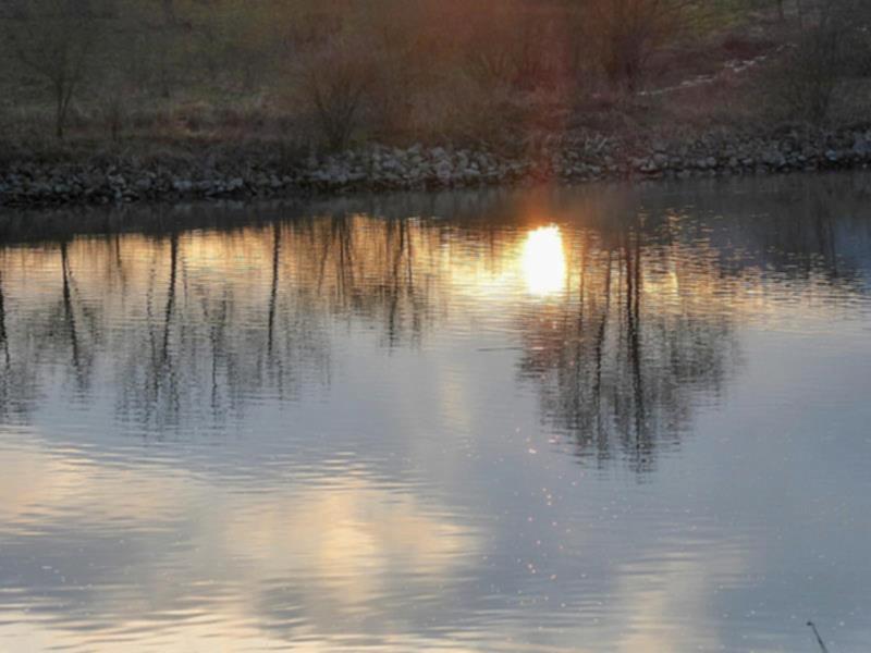Am Kanal