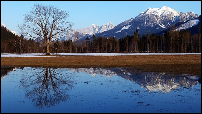 Spiegelung in Österreich