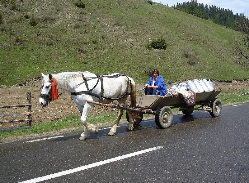 Borsa > Fahrt ins Gebirge