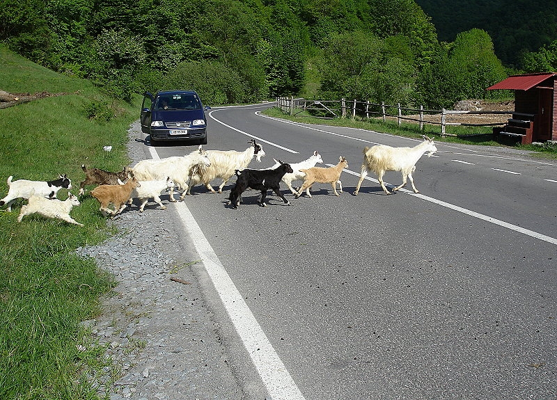 Borsa > Fahrt ins Gebirge