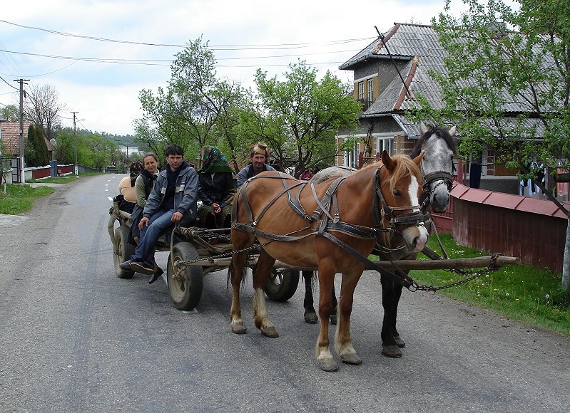Borsa > Fahrt ins Gebirge