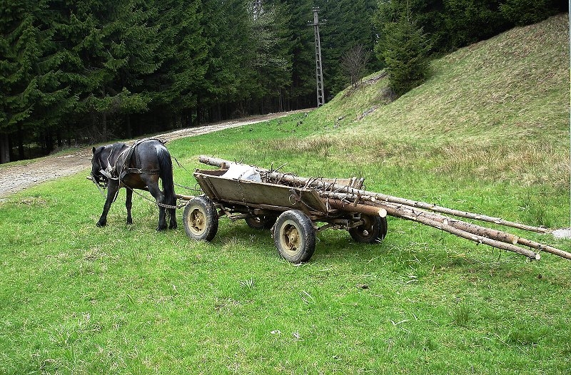 Budesti_Pferdfuhrwerk