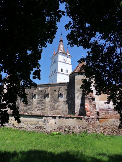 Honigberg104.jpg