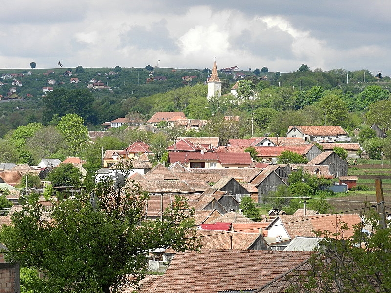 Daia (Dhalheim) > Wehrkirche