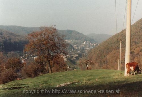 1990-1994 15 STEIERDORF > Kreuzberg