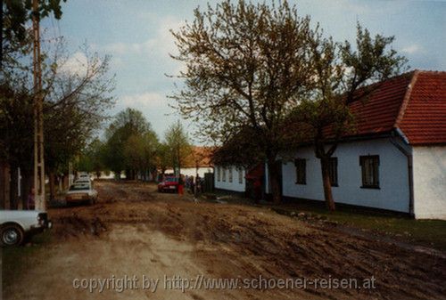 1990-1994 34 GARINA (WOLFSBERG)