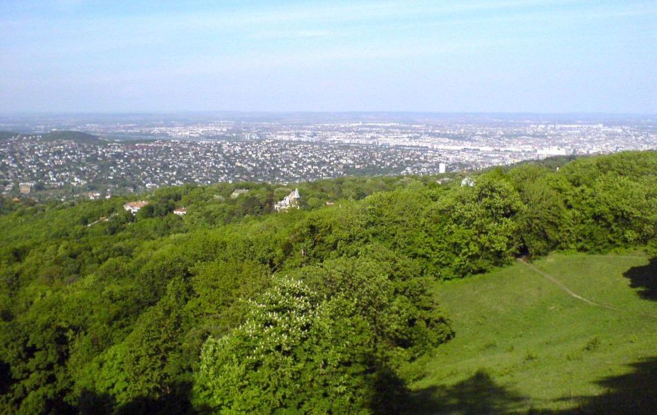 H:Budapest>Janoshügel>Blick vom Elisabethturm