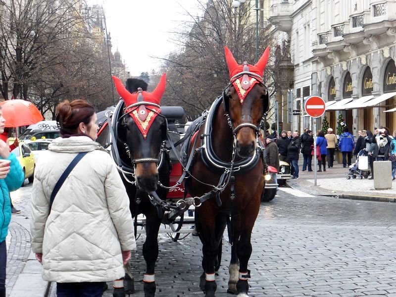 Weihnachtsmarkt in Prag