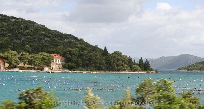 Peljesac > Bei Drace