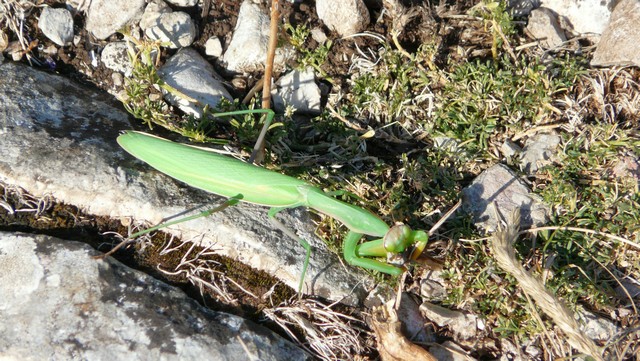 Herbst 2011, 13,Kozjak, Sv. Ivan 3