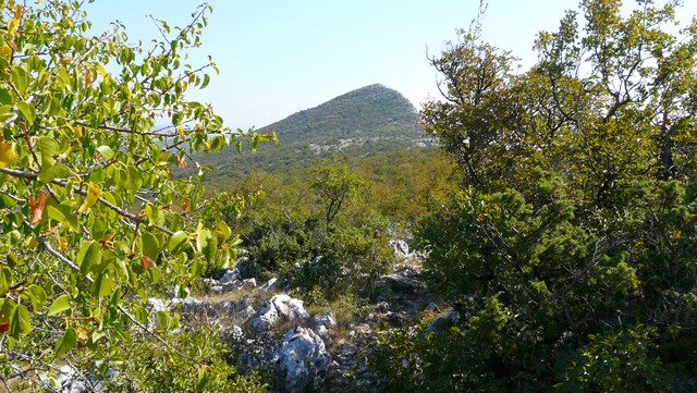 Herbst 2011, 13,Kozjak, Sv. Ivan 7