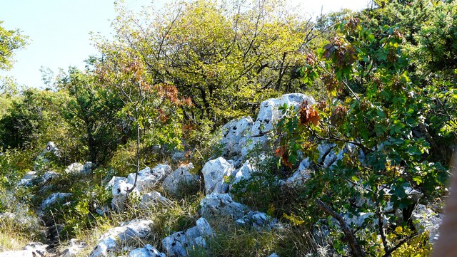 Herbst 2011, 13,Kozjak, Sv. Ivan 2