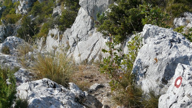 Herbst 2011, 13,Kozjak, Sv. Ivan 8