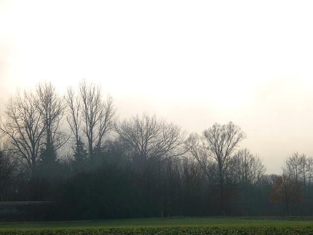 Winterhimmel/Sonnenuntergang