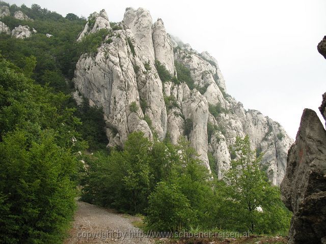 KARLOBAG > Nationalpark Velebit > Safari 8