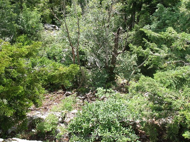 KARLOBAG > Nationalpark Velebit > Safari 6